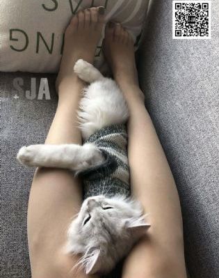 妈妈的朋友电影在线观看免费_超清电影在线观看