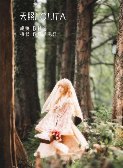 最后征战电视剧_剧情片电影在线观看